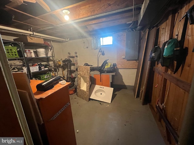 basement with electric panel