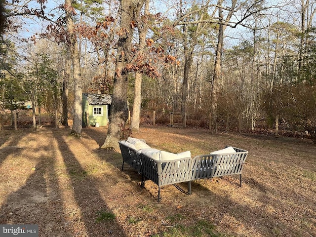 view of yard with a storage shed