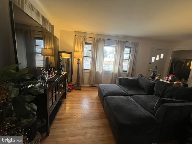 living room featuring light hardwood / wood-style flooring