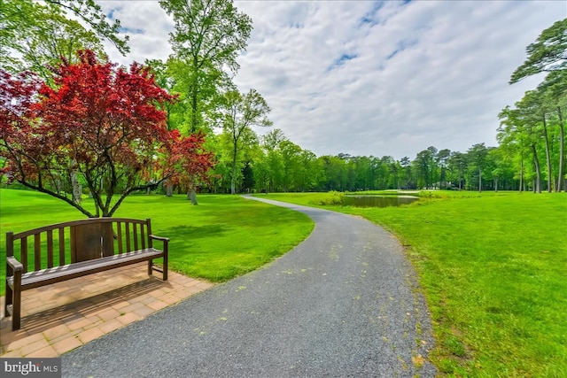 view of community featuring a lawn