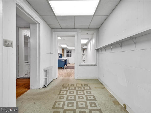 hall featuring carpet flooring, a paneled ceiling, and radiator