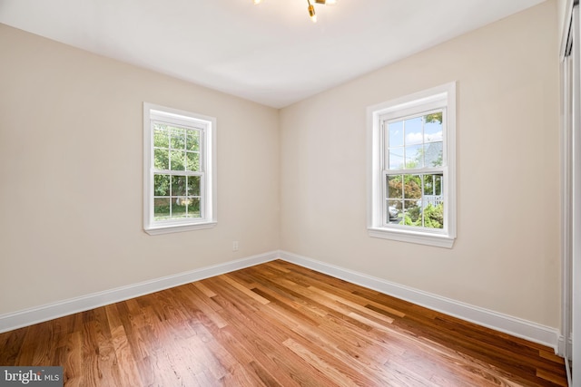 unfurnished room featuring a wealth of natural light and light wood-type flooring