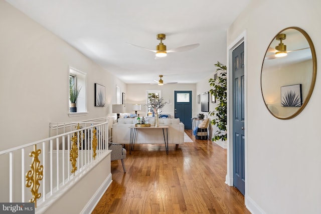 hall with hardwood / wood-style flooring