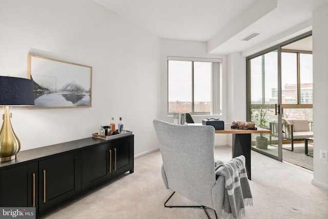 office featuring a textured ceiling and light colored carpet