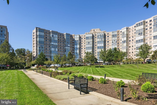 view of community featuring a lawn