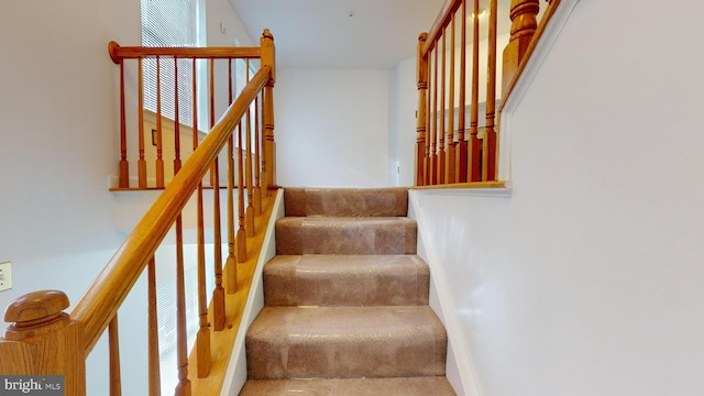 staircase featuring a wealth of natural light