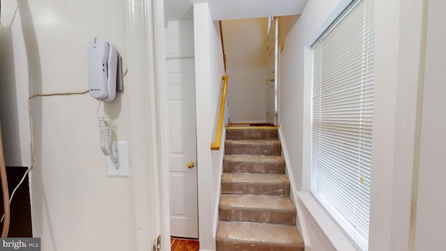 stairs featuring hardwood / wood-style flooring