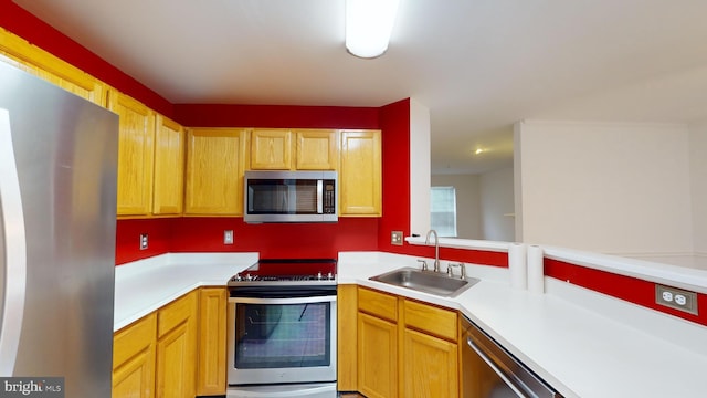 kitchen with sink and stainless steel appliances