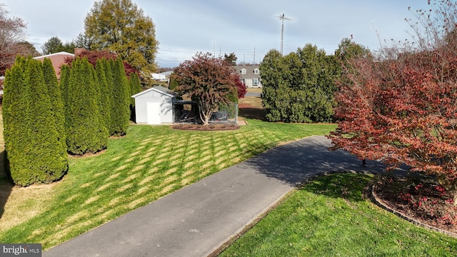 view of yard featuring a storage unit