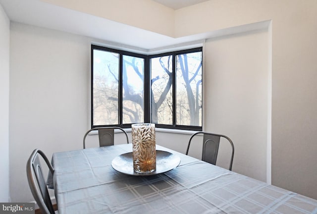 dining area featuring plenty of natural light