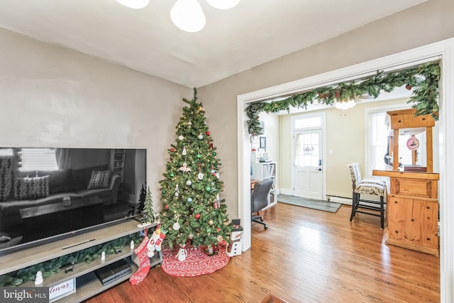 living room featuring hardwood / wood-style floors and a baseboard radiator