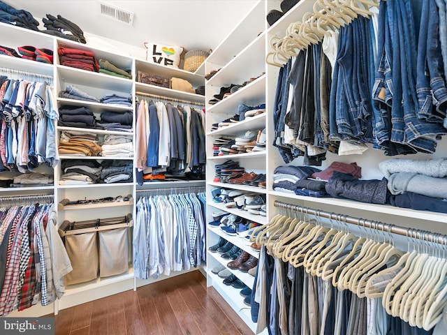 spacious closet featuring wood-type flooring