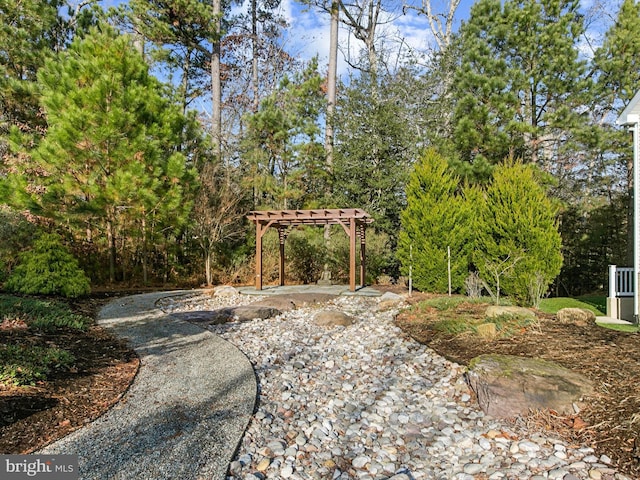 view of yard featuring a pergola