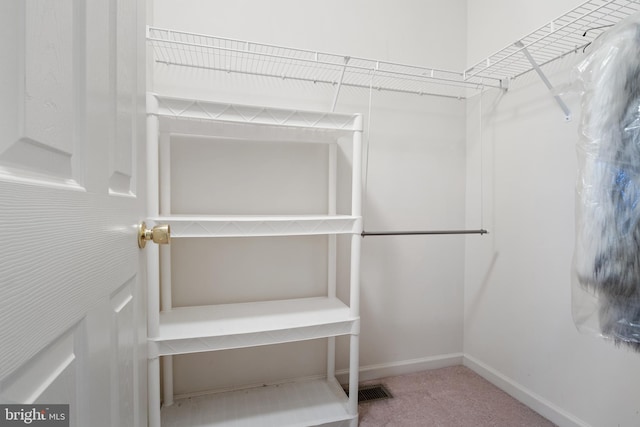 walk in closet featuring carpet flooring