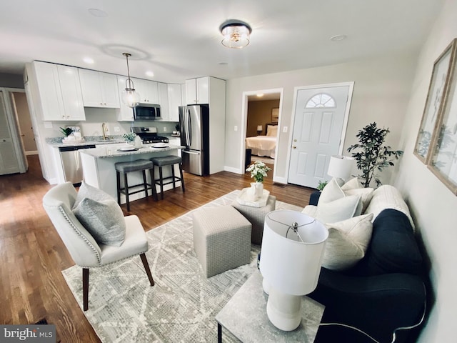 living room featuring sink and wood-type flooring