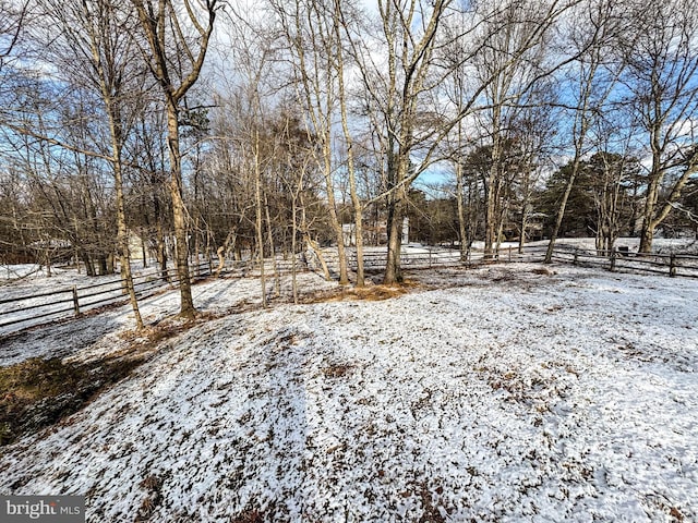 view of yard covered in snow