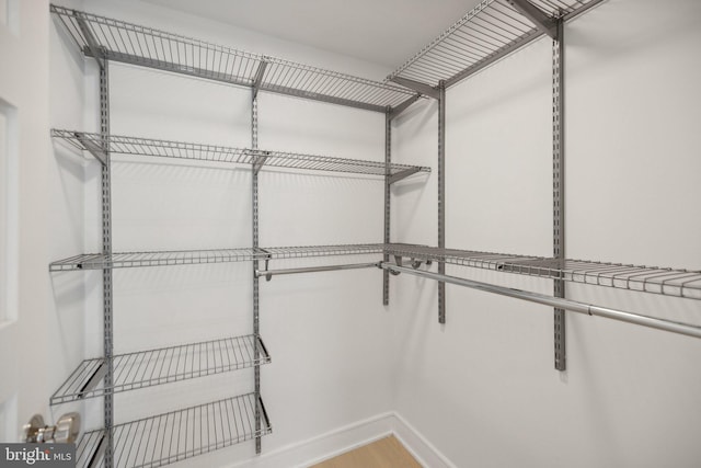 walk in closet with wood-type flooring