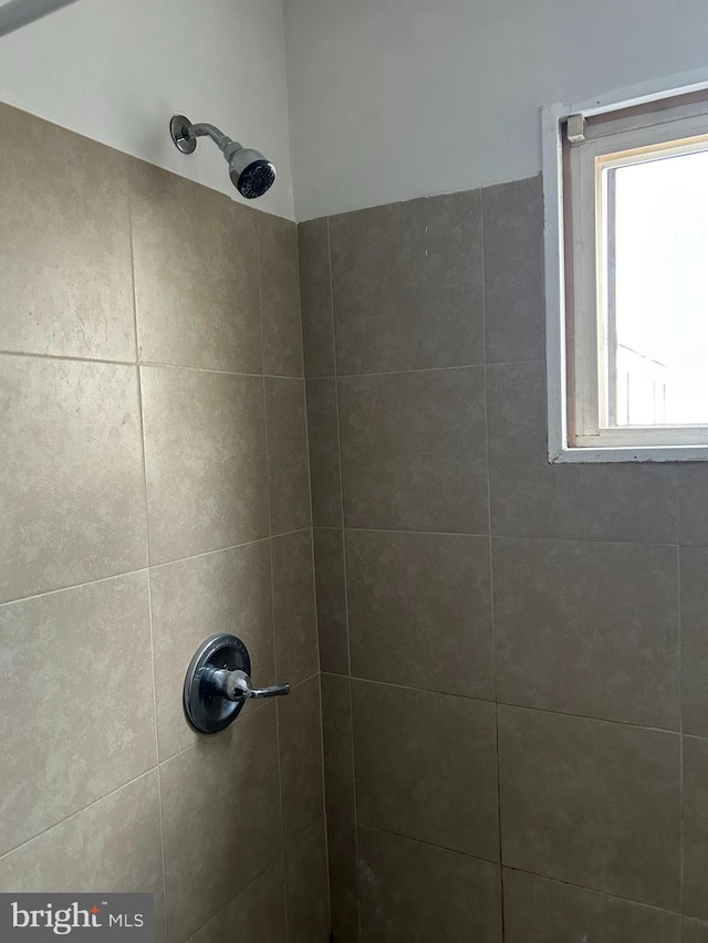 room details with tiled shower