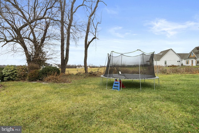 view of yard with a trampoline