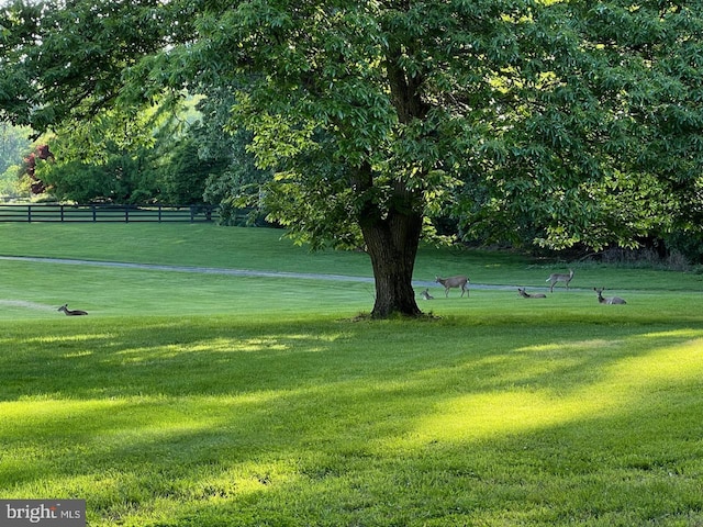 surrounding community featuring a yard