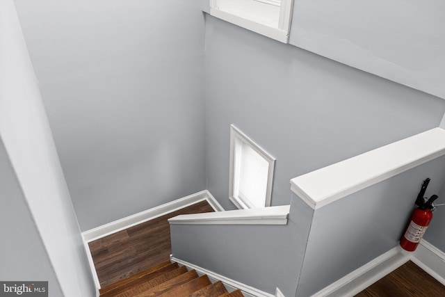 stairway with hardwood / wood-style flooring