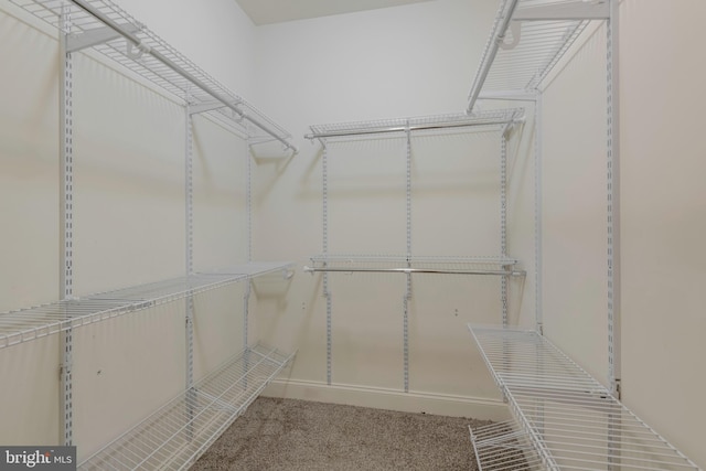 10205 Wincopin Cir Unit 405, Columbia, MD 21044 - walk in closet with carpet flooring