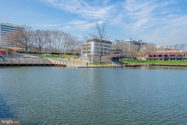 10205 Wincopin Cir Unit 405, Columbia, MD 21044 - water view