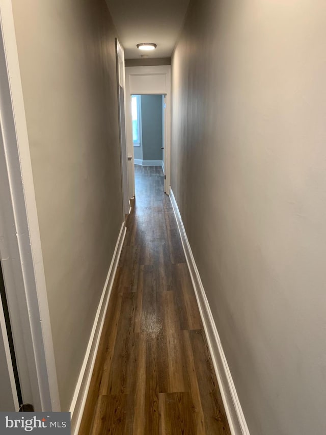 corridor featuring dark wood-type flooring