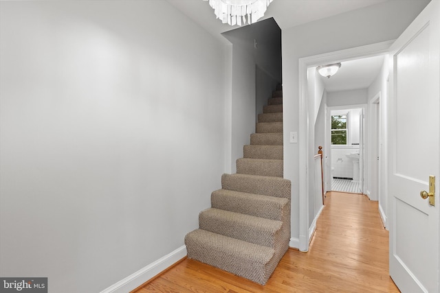 stairs with hardwood / wood-style flooring