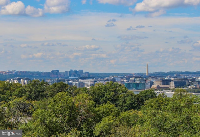 view of city