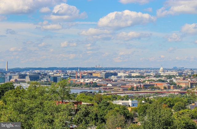 property's view of city