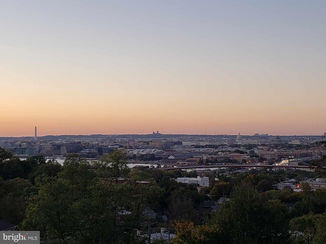 property's view of city