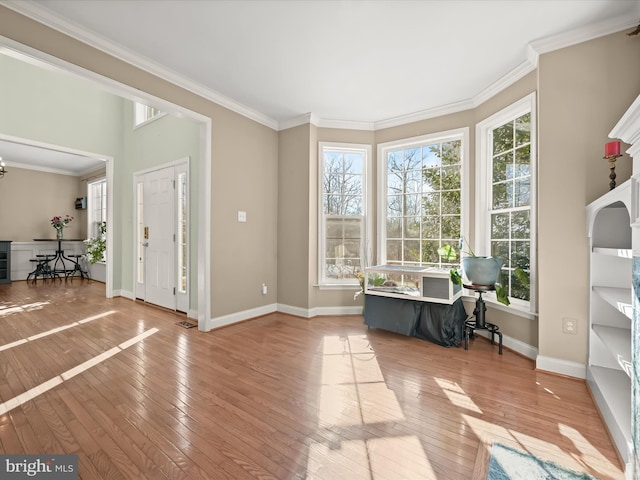 interior space featuring ornamental molding and light hardwood / wood-style floors