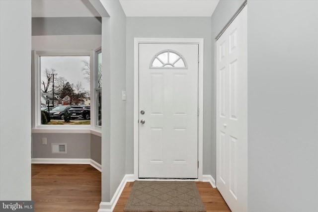 entrance foyer featuring wood-type flooring