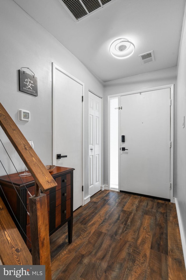 foyer entrance featuring dark wood-type flooring