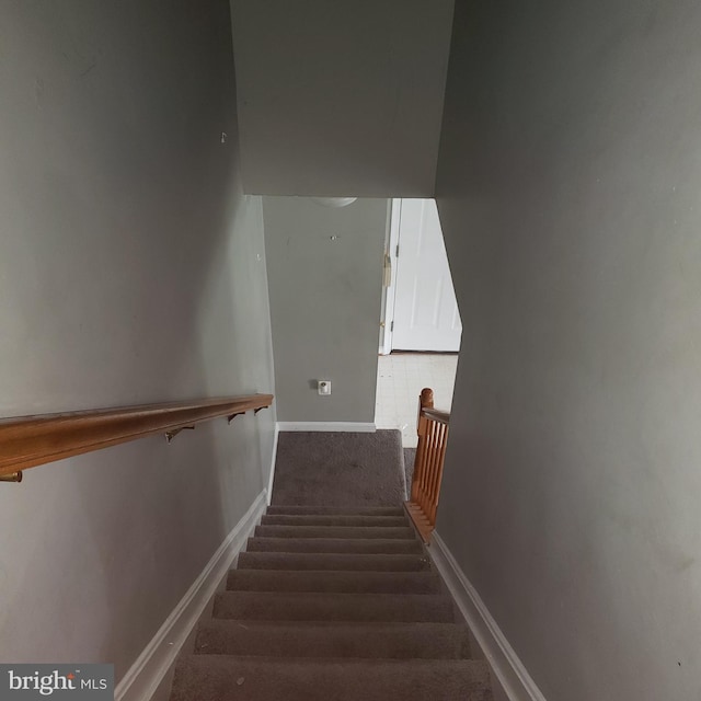 stairway featuring carpet flooring