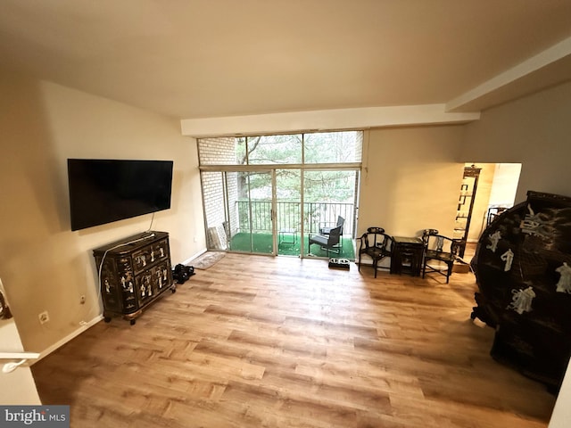 living room with hardwood / wood-style floors