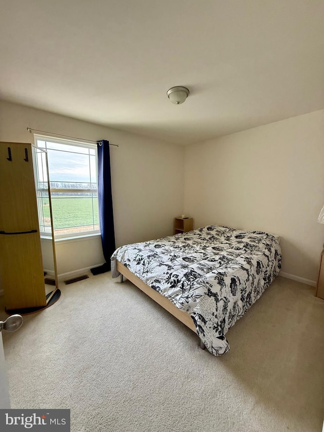 bedroom with carpet floors