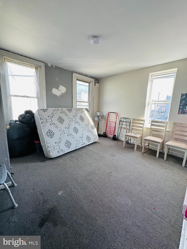 carpeted bedroom with multiple windows