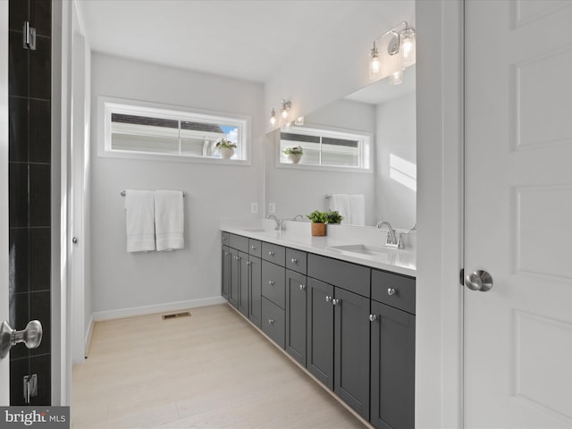 bathroom featuring hardwood / wood-style flooring and vanity