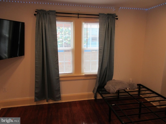 bedroom with hardwood / wood-style floors