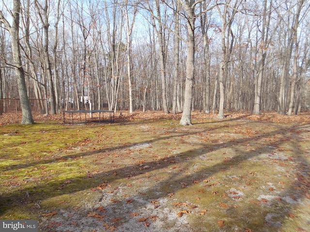 view of yard with a trampoline