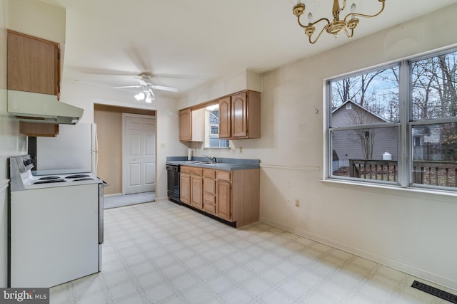 kitchen with dishwasher, stove, extractor fan, and a wealth of natural light