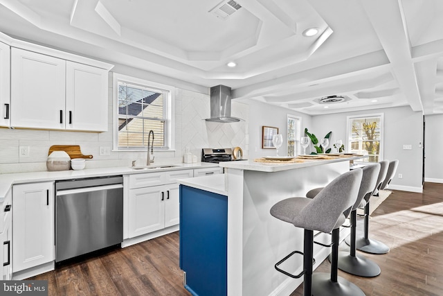 kitchen with appliances with stainless steel finishes, white cabinetry, wall chimney exhaust hood, and sink