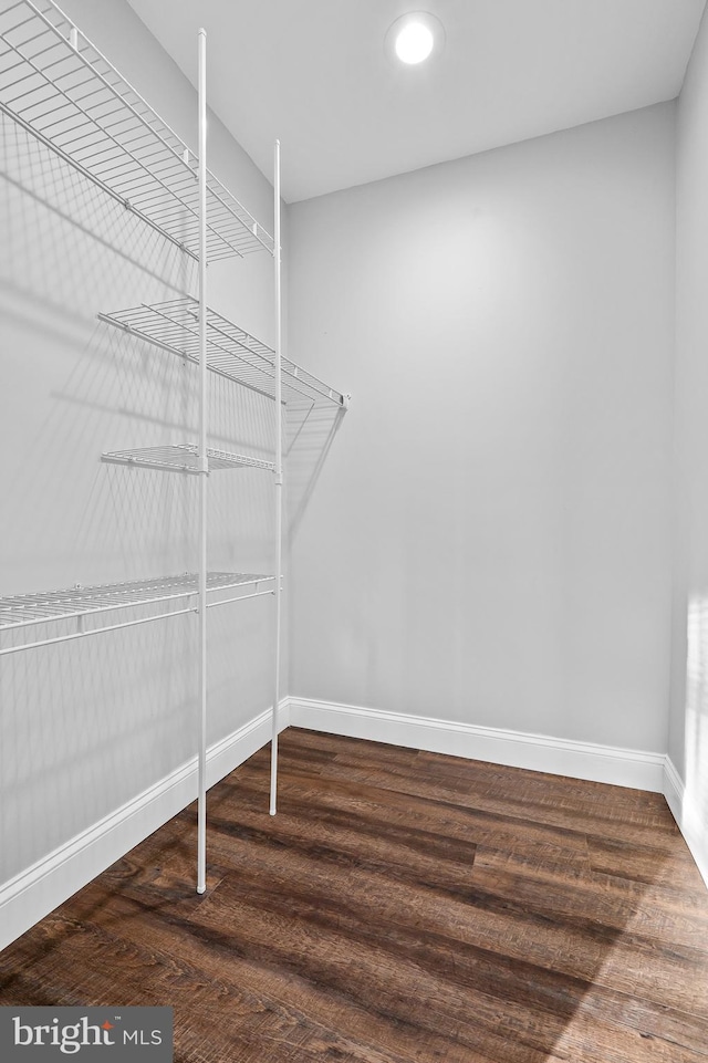 walk in closet featuring dark hardwood / wood-style floors