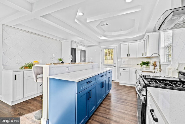 kitchen with blue cabinetry, sink, stainless steel appliances, dark hardwood / wood-style floors, and white cabinets