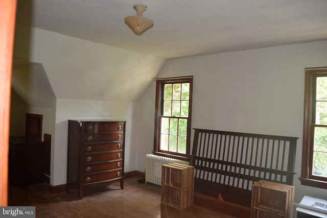 bedroom featuring lofted ceiling, radiator heating unit, and dark wood-type flooring