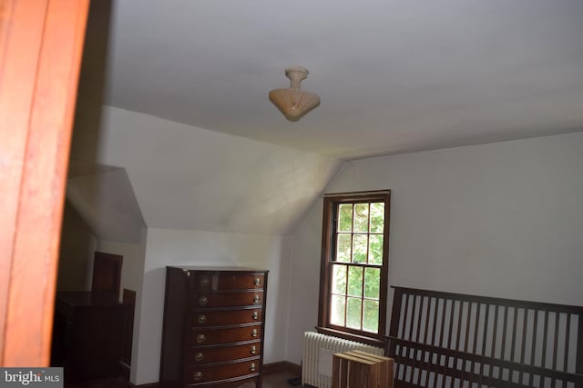 additional living space featuring radiator and lofted ceiling