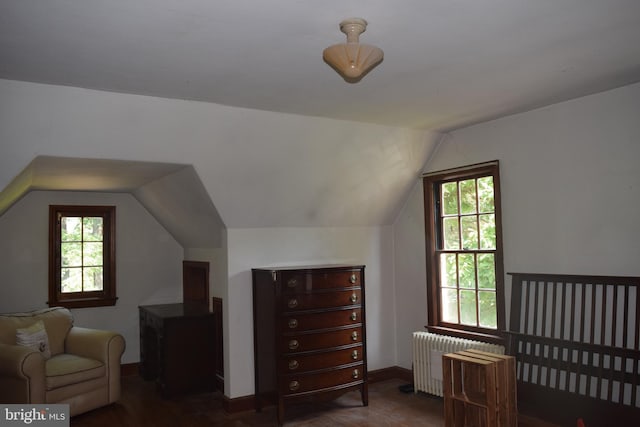 interior space with multiple windows, vaulted ceiling, and radiator