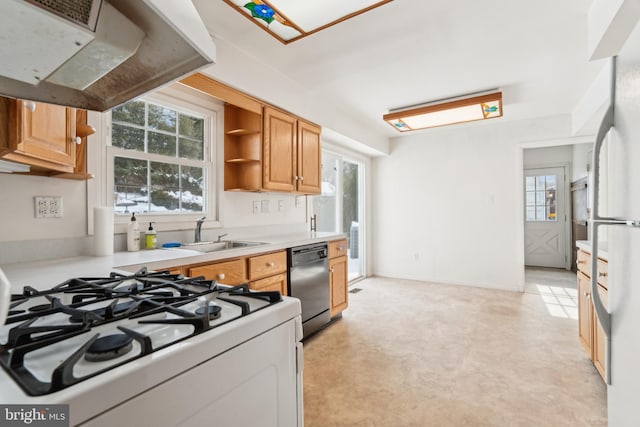 kitchen with sink, white appliances, and ventilation hood